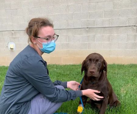 Groveport Canal Animal Hospital