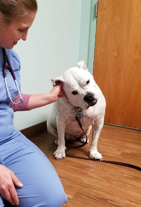 Groveport Canal Animal Hospital Picture 2