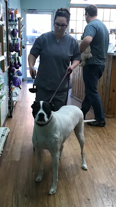Groveport Canal Animal Hospital Picture 10