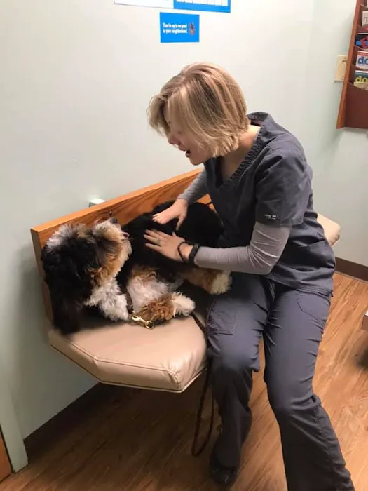 Groveport Canal Animal Hospital Picture 3