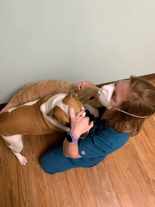 Groveport Canal Animal Hospital Picture 5