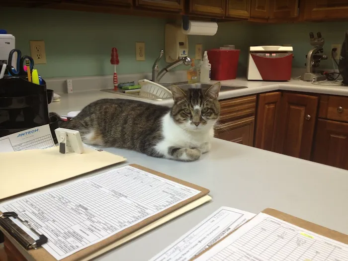 Groveport Canal Animal Hospital Picture 9