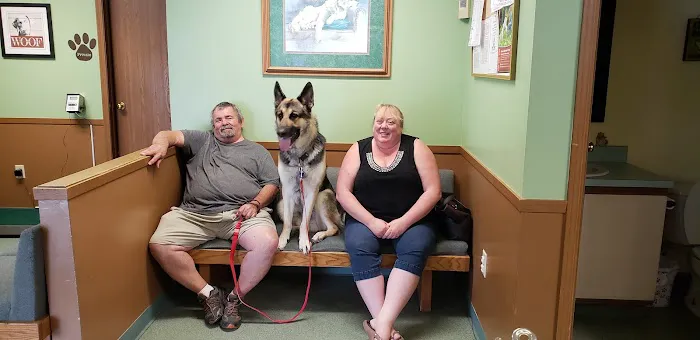The Vet Clinic East Picture 9