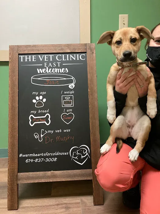 The Vet Clinic East Picture 1