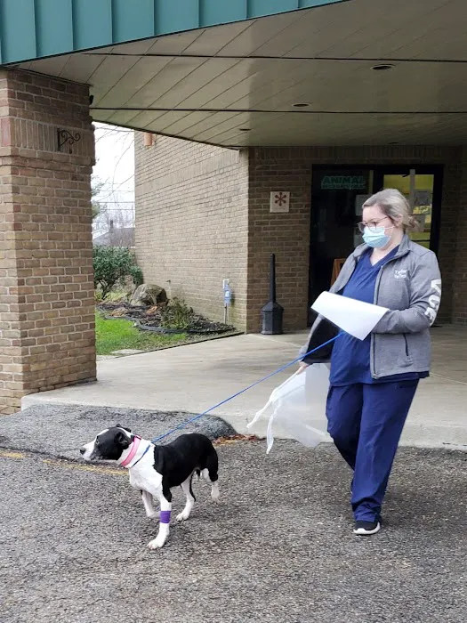 The Vet Clinic East Picture 7