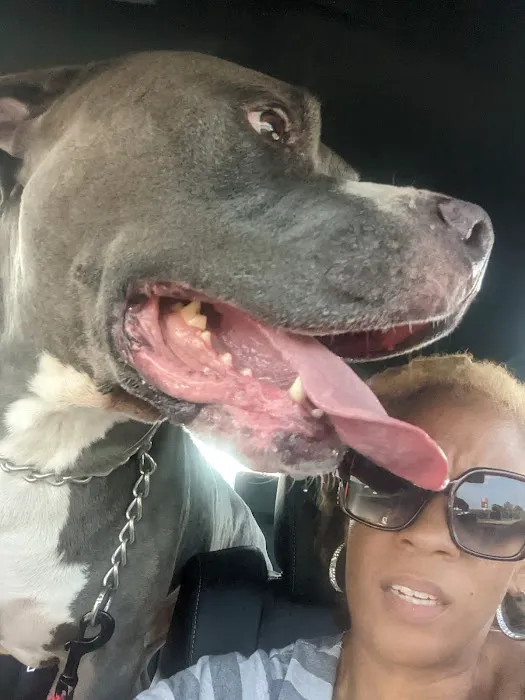 Petlovers Animal Hospital Picture 10