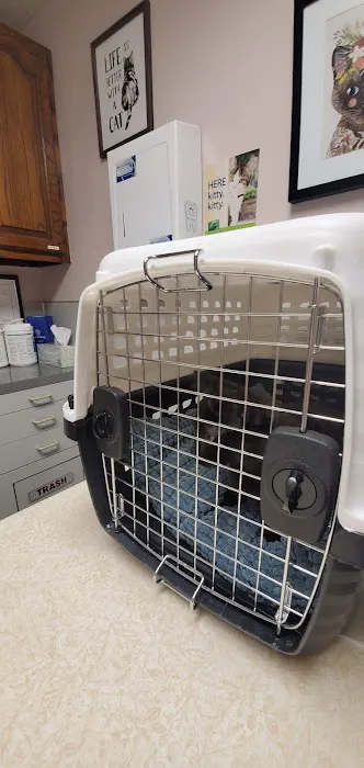 Petlovers Animal Hospital Picture 1