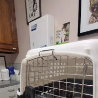 Petlovers Animal Hospital ico