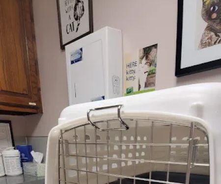 Petlovers Animal Hospital