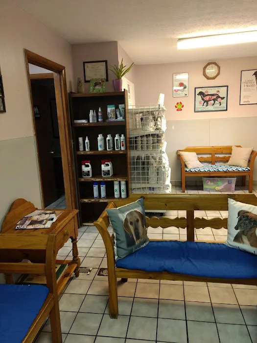 Petlovers Animal Hospital Picture 5