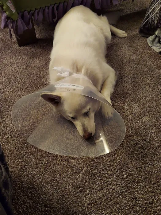 Rosehill Veterinary Hospital Picture 5