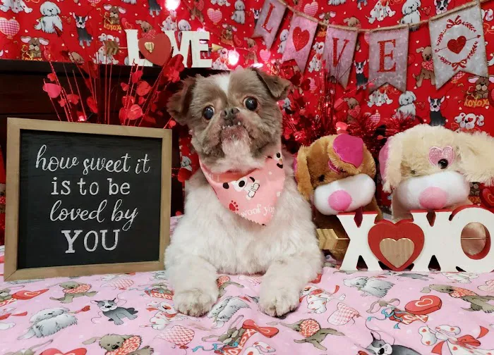 Rosehill Veterinary Hospital Picture 4