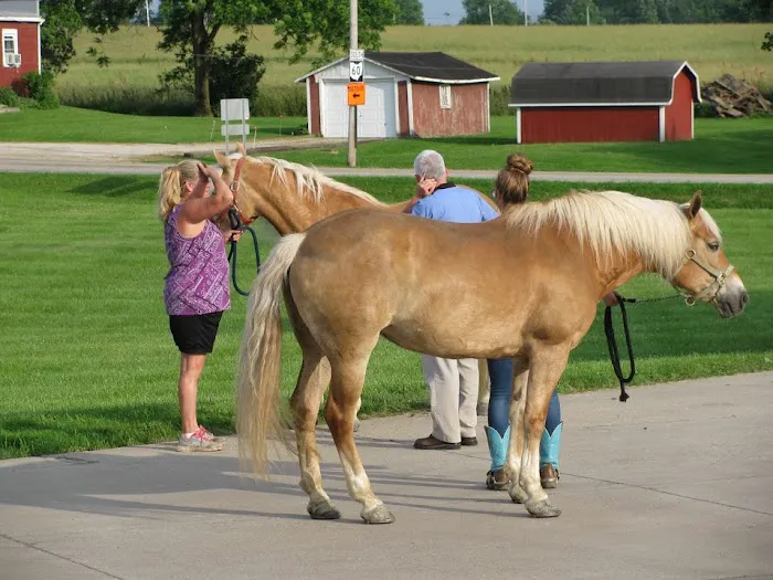 Spring Meadow Veterinary Clinic Picture 7