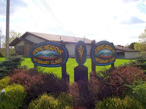 Spring Meadow Veterinary Clinic Picture 2