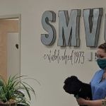 Spring Meadow Veterinary Clinic