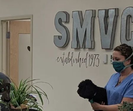 Spring Meadow Veterinary Clinic