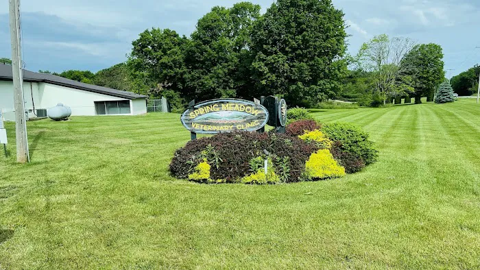 Spring Meadow Veterinary Clinic Picture 9