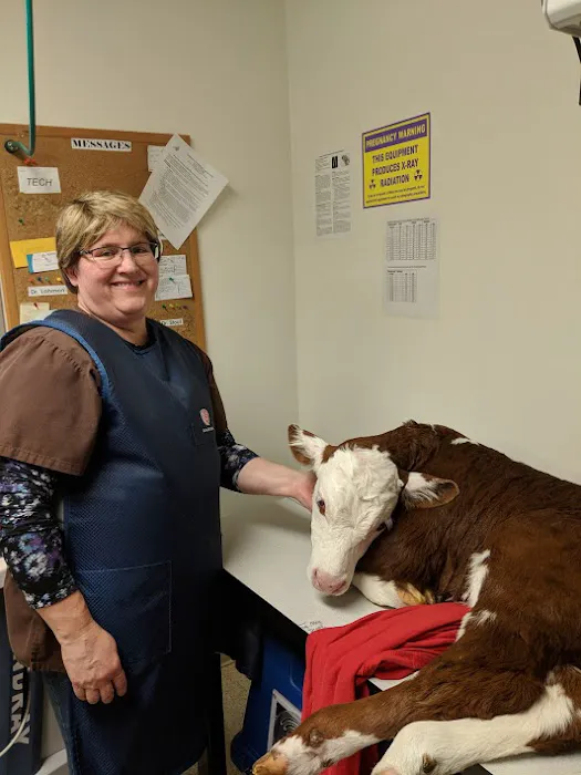Spring Meadow Veterinary Clinic Picture 4