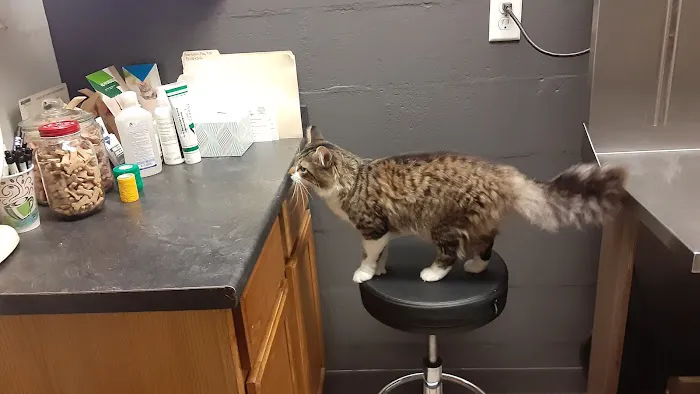 Ashland Road Animal Clinic Inc Picture 7
