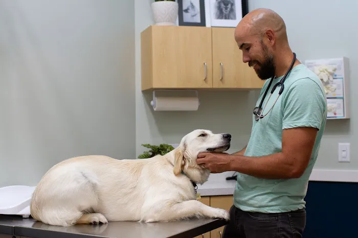 Phillips Animal Hospital Picture 1