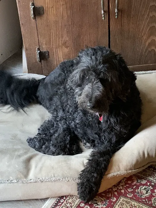 Mohican Veterinary Wellness Picture 6