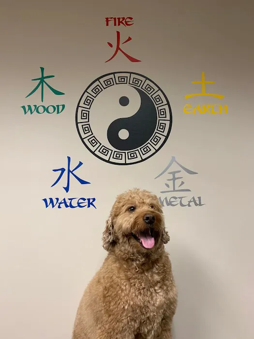 Mohican Veterinary Wellness Picture 7