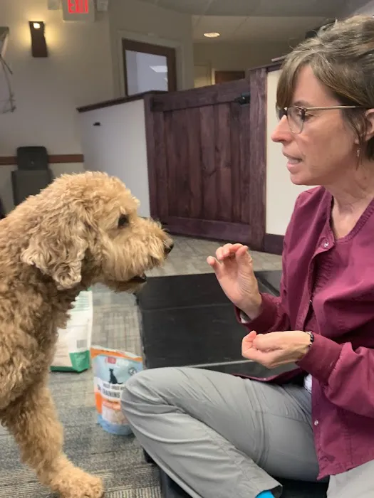 Mohican Veterinary Wellness Picture 5