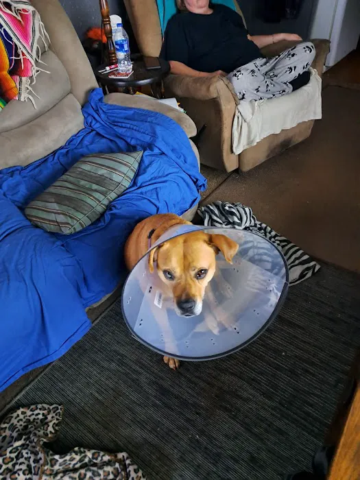 Oberlin Animal Hospital Picture 1