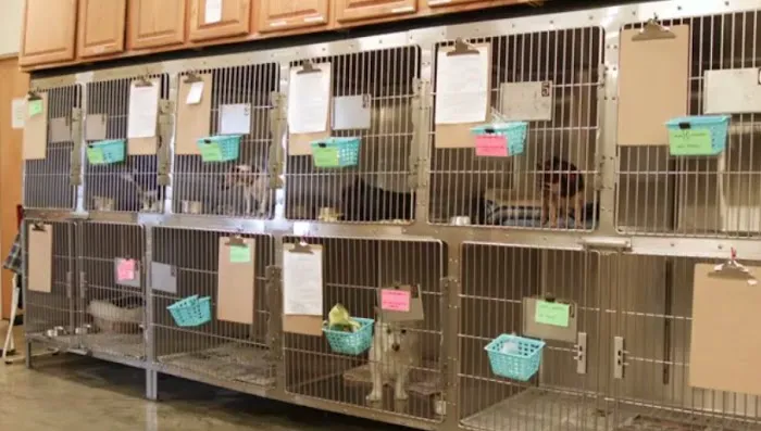 Oberlin Animal Hospital Picture 8