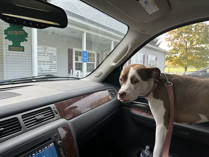 Oberlin Animal Hospital Picture 7