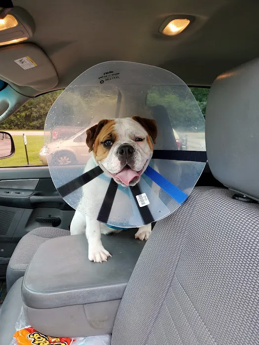Oberlin Animal Hospital Picture 6