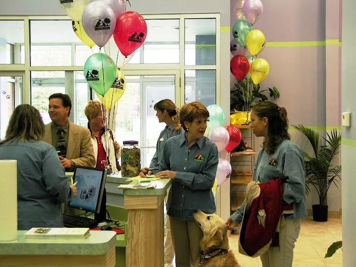 Forever Friends Pet Care Center & Hospital Picture 8