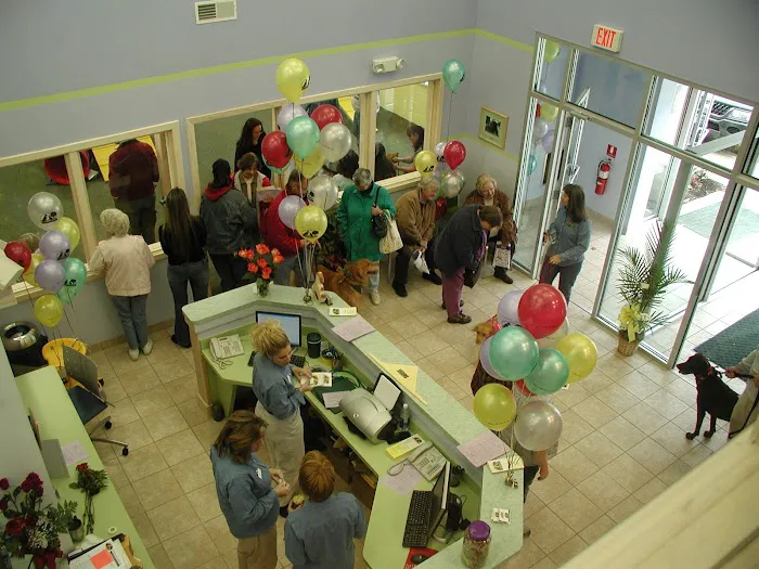 Forever Friends Pet Care Center & Hospital Picture 7
