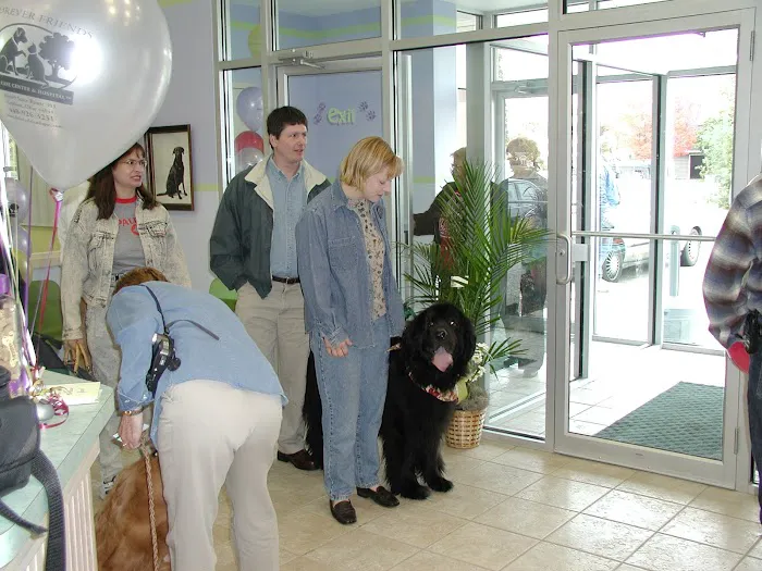 Forever Friends Pet Care Center & Hospital Picture 9
