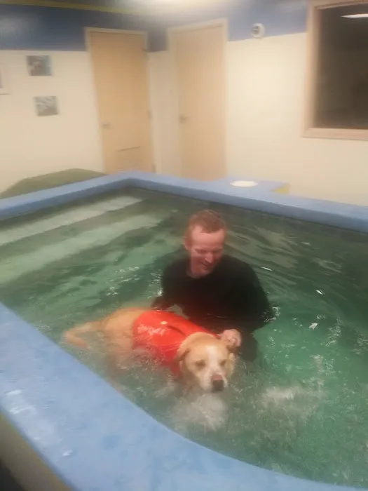 Forever Friends Pet Care Center & Hospital Picture 3