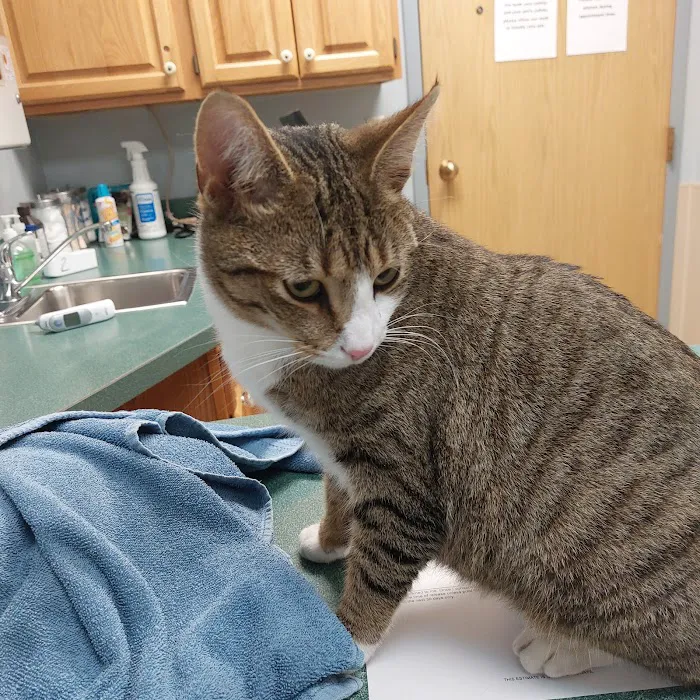 Douds Veterinary Hospital Picture 2
