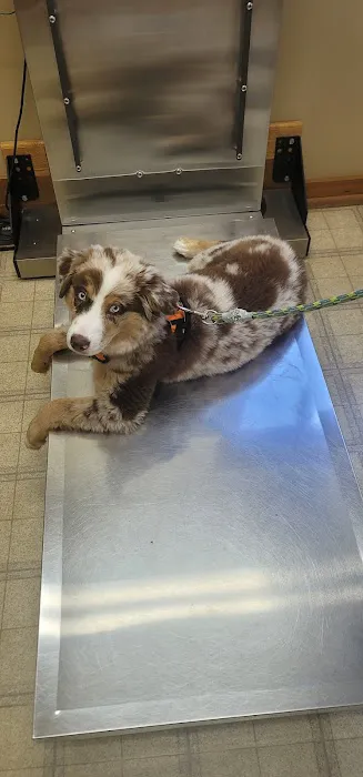 Cedarside Animal Hospital Picture 1