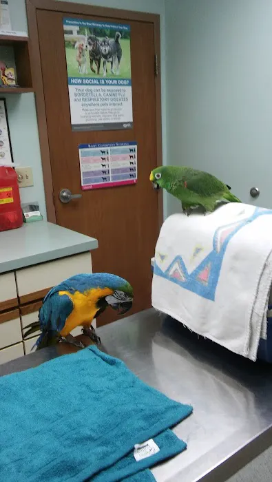 Fox Veterinary Hospital Picture 8