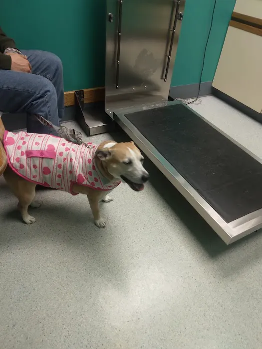 Fox Veterinary Hospital Picture 2