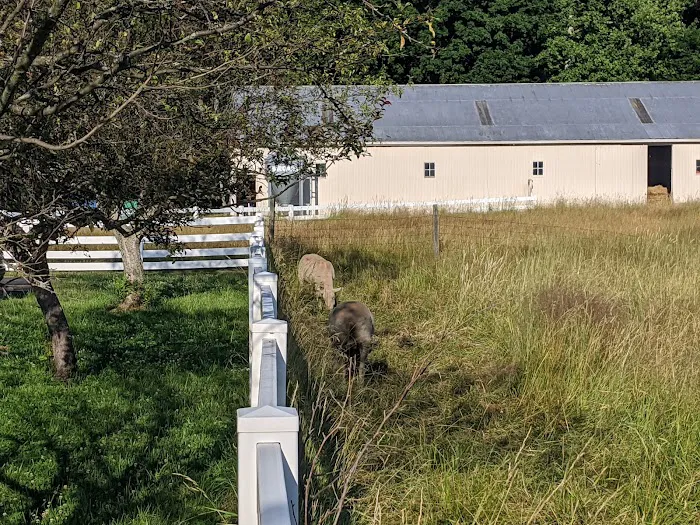 Fox Veterinary Hospital Picture 9