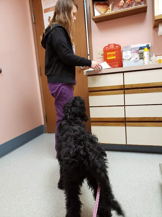 Fox Veterinary Hospital Picture 7