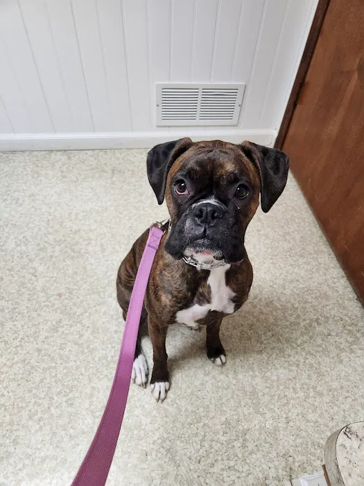Murray Ridge Animal Clinic Picture 2
