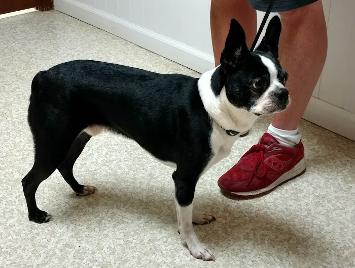 Murray Ridge Animal Clinic Picture 10