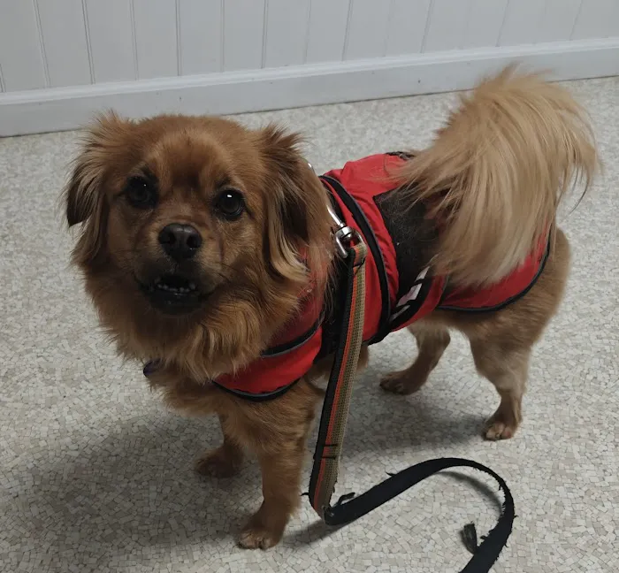 Murray Ridge Animal Clinic Picture 6