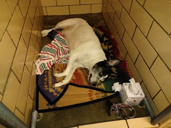 Elyria Animal Hospital Picture 2