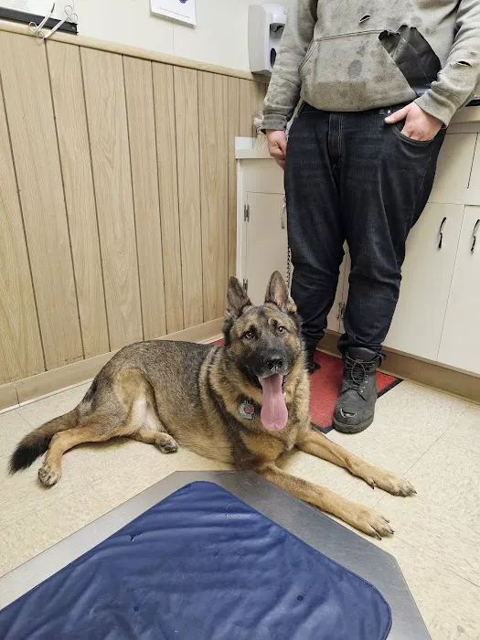 Elyria Animal Hospital Picture 4