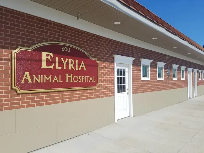 Elyria Animal Hospital Picture 3