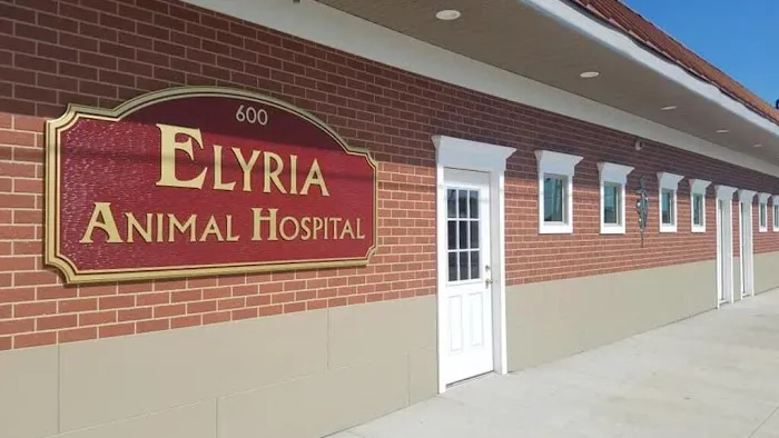 Elyria Animal Hospital Picture 5