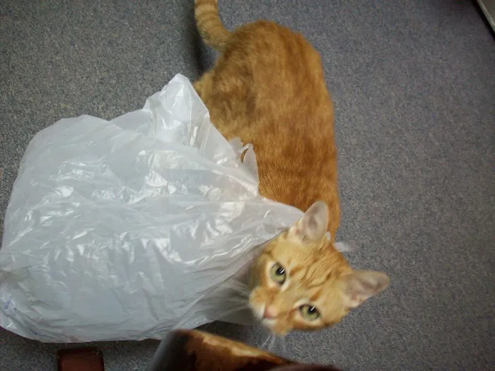 Columbia Animal Clinic Picture 4