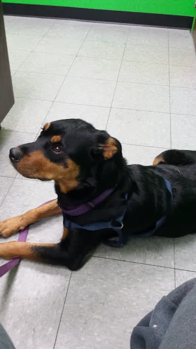Columbia Animal Clinic Picture 6